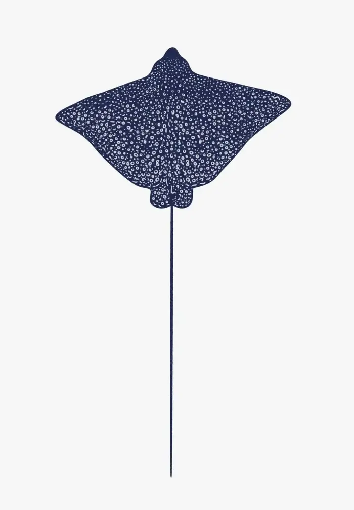 Affiches d'art minimalistes modernes, baleines, requins, animaux marins, impression sur toile, salon