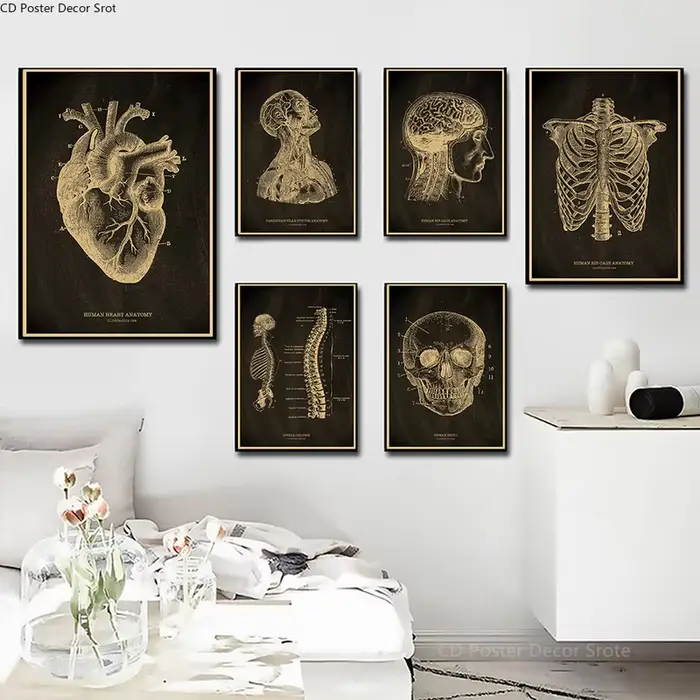 Affiche de tableau noir squelette anatomique