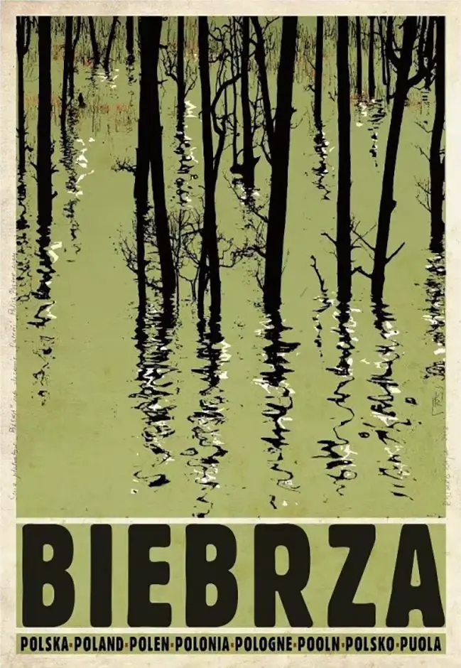 Affiche et impression sur toile rétro originale de Pologne, représentant les paysages de Podhale et