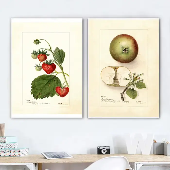 Affiche de fruits Vintage