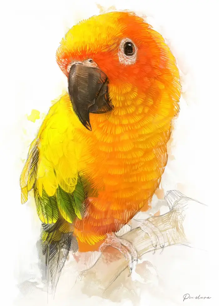 Affiche de perroquet aquarelle, calopsitte, perruche, faucon, peinture sur toile, Portrait d'oiseau 