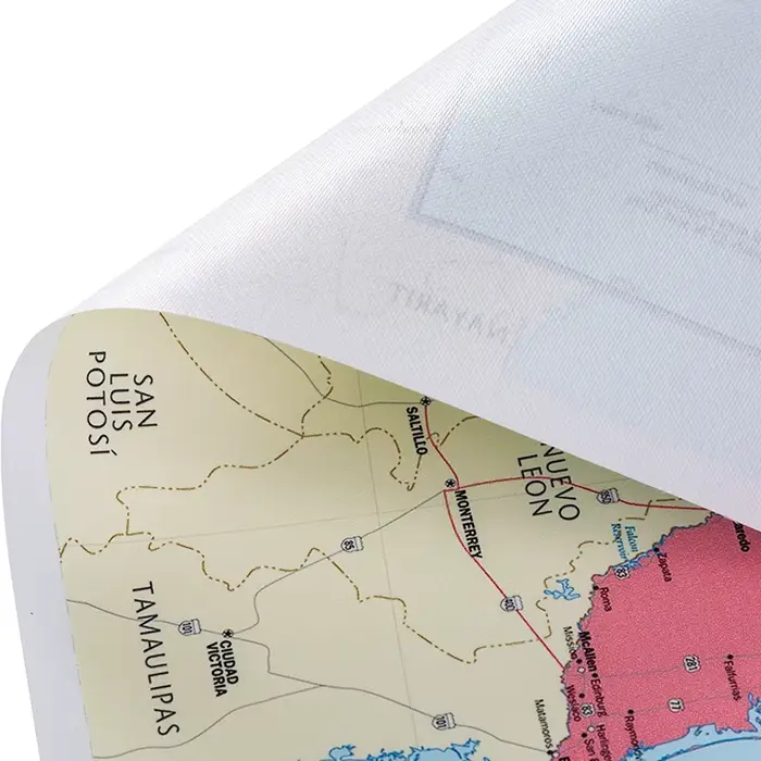 Toile Non tissée de carte politique de la France