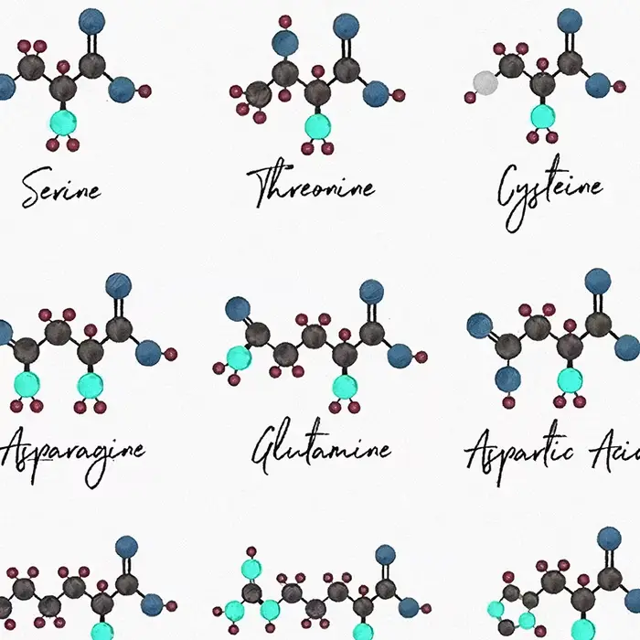 Affiches d'art moléculaire chimique : Dopamine