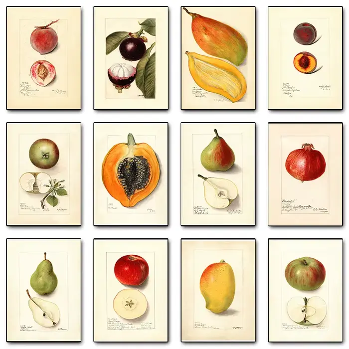 Affiche de fruits Vintage