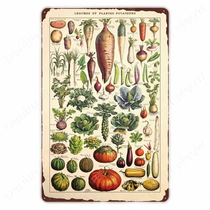 Plante végétale rétro affiche Fruits Vintage en métal