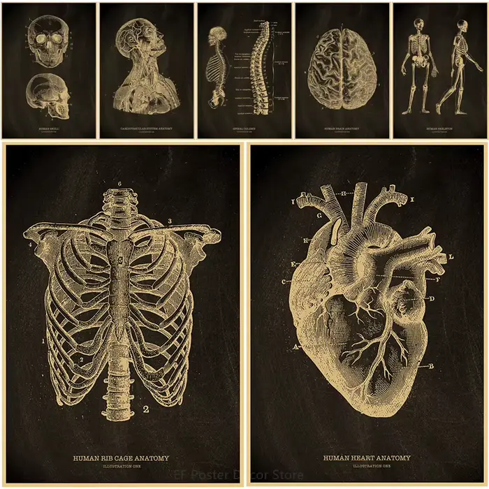Affiche médicale Vintage
