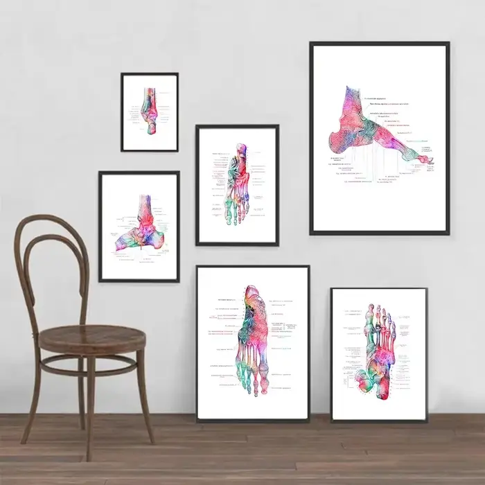 Peinture sur toile imprimée d'anatomie des os du pied