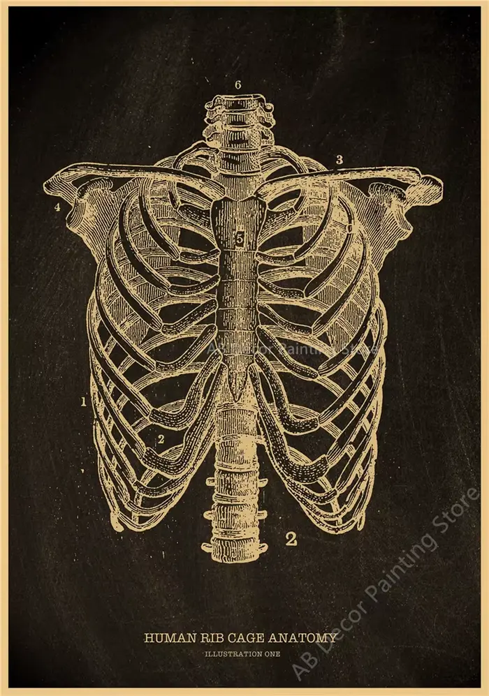 Affiches nostalgiques, tableau d'anatomie, imprimés, parties du corps, cœur, main, pied, dessin, Vintage, décoration murale pour salle de maison, peinture