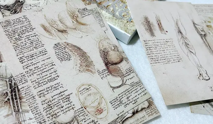 30 feuilles/Lot Leonardo Da Vinci croquis peinture carte postale Vintage Art