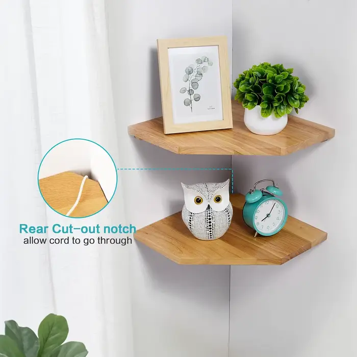 Étagères d'angle murales pour salon chambre présentoir en bois ensemble de 2 pour petites plantes cadres Photo