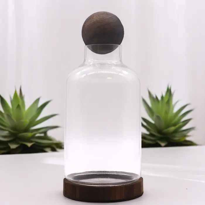 Large Ball Top Terarium on Dark Tung Wood - 16x32cm
