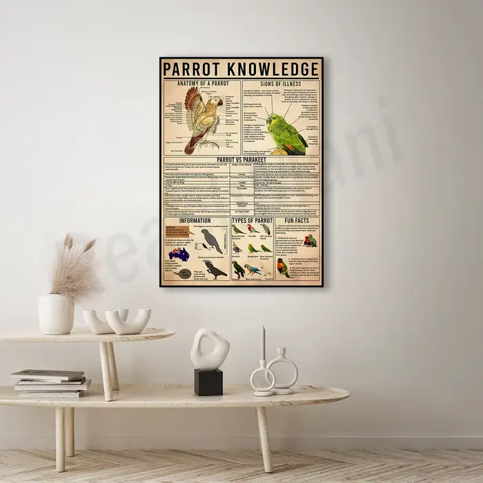 Affiche du connaissance du perroquet