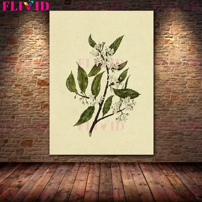 Arbre de branche d'olivier et branche de fleur blanche