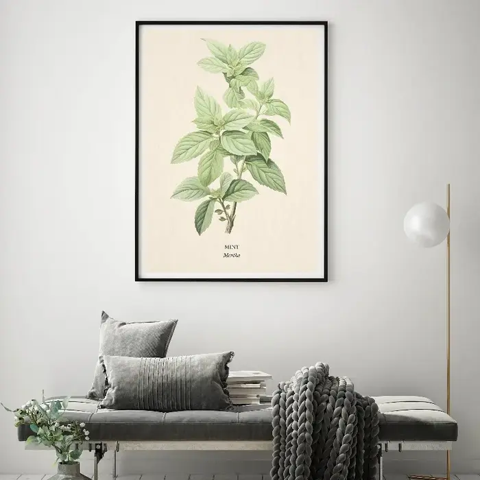 Affiche imprimée botanique