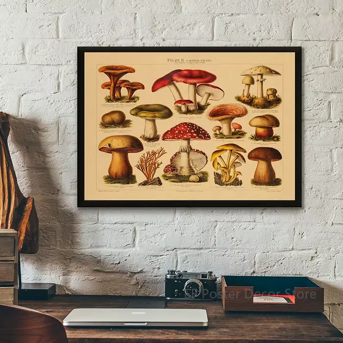 Affiche de botanique de cuisine