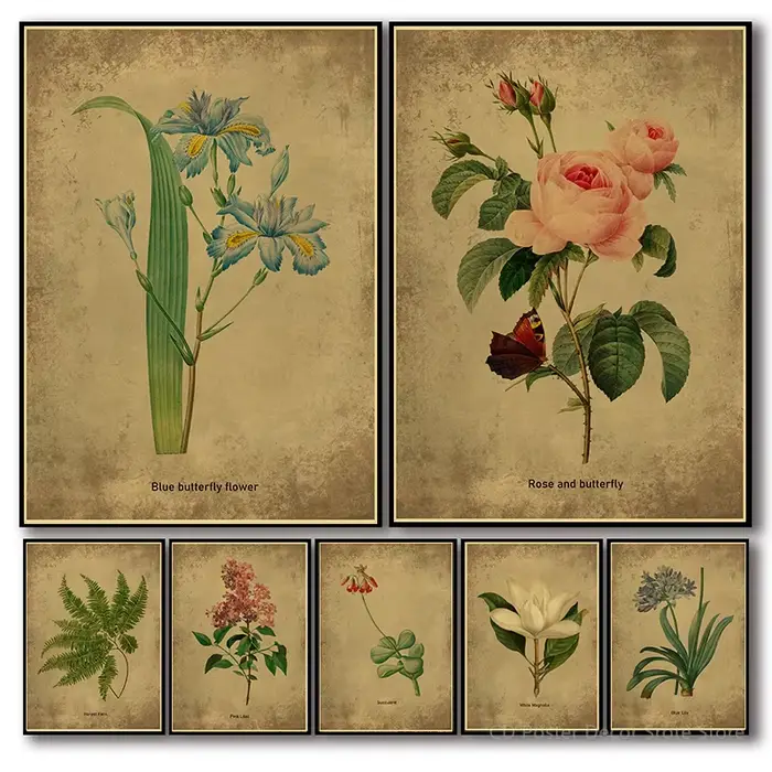 Affiche Botanique Vintage avec Herbes et Plantes