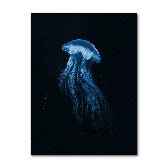 Affiche d'art minimaliste rétro sur toile, représentant des animaux marins (Cyanea, méduse, calmar,