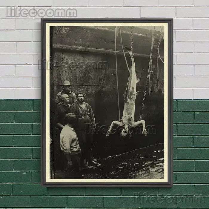 Affiche d'art de photographie de sirène d'horreur vintage, impression, capture de photos de sirènes,