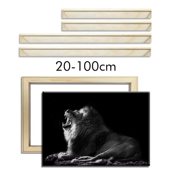 30x40 40x50 50x70 60x90 cadre sur toile cadres en bois Photo peinture à l'huile