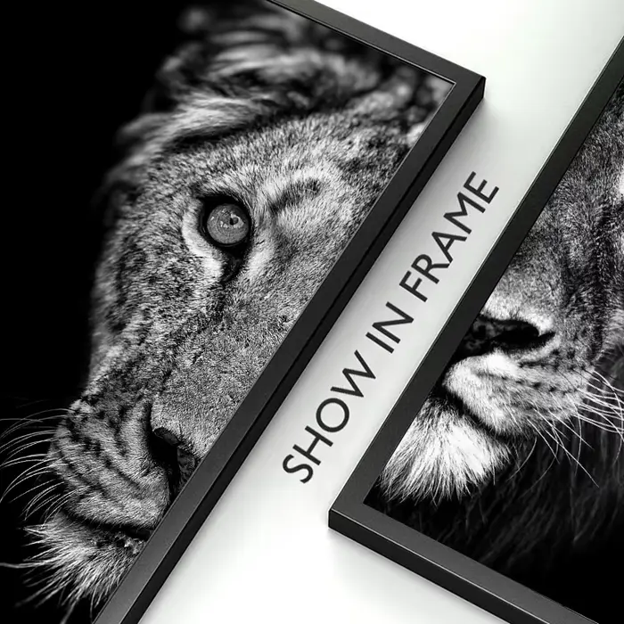 Affiches décoratives modernes du Lion et de la lionne masculine