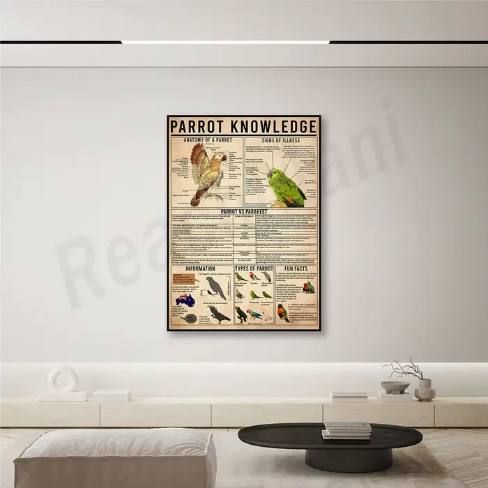 Affiche du connaissance du perroquet