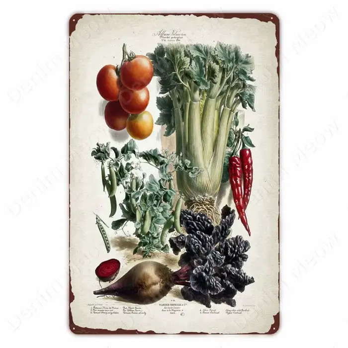 Affiche Rétro Plantes Légumes, Panneau Métallique Vintage Fruits, Décoration Murale Chou-fleur, Plaq