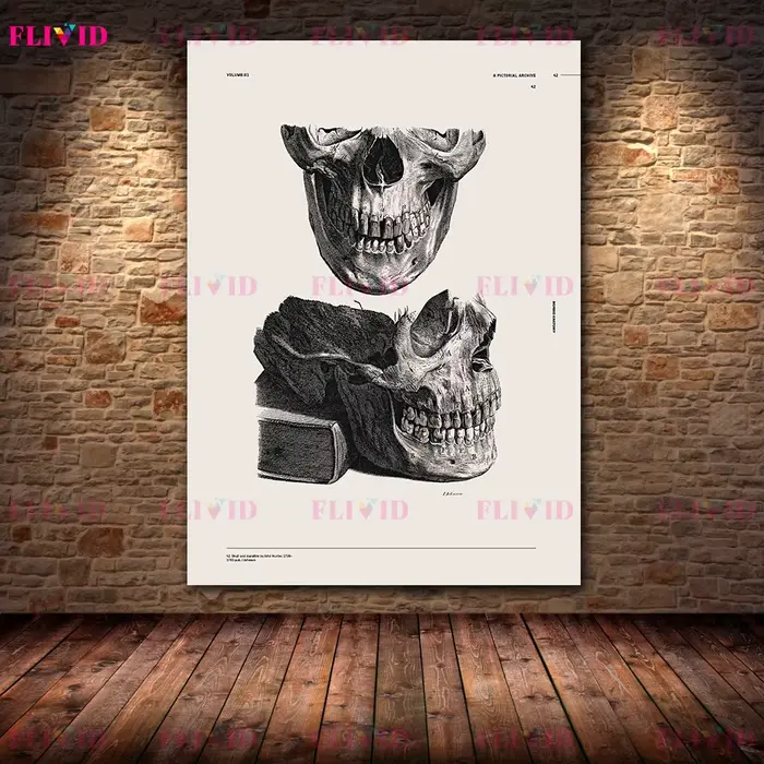 Affiches d'art sur l'anatomie antique