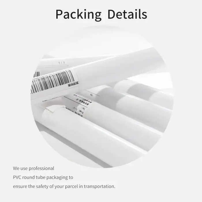 Affiche de paysage naturel de mer d'été moderne