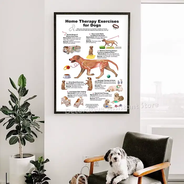 Affiche de diagramme d'anatomie de chien, gardez votre chien et chat, impression saine, peinture sur toile d'art mural vétérinaire, décor mural d'hôpital Animal