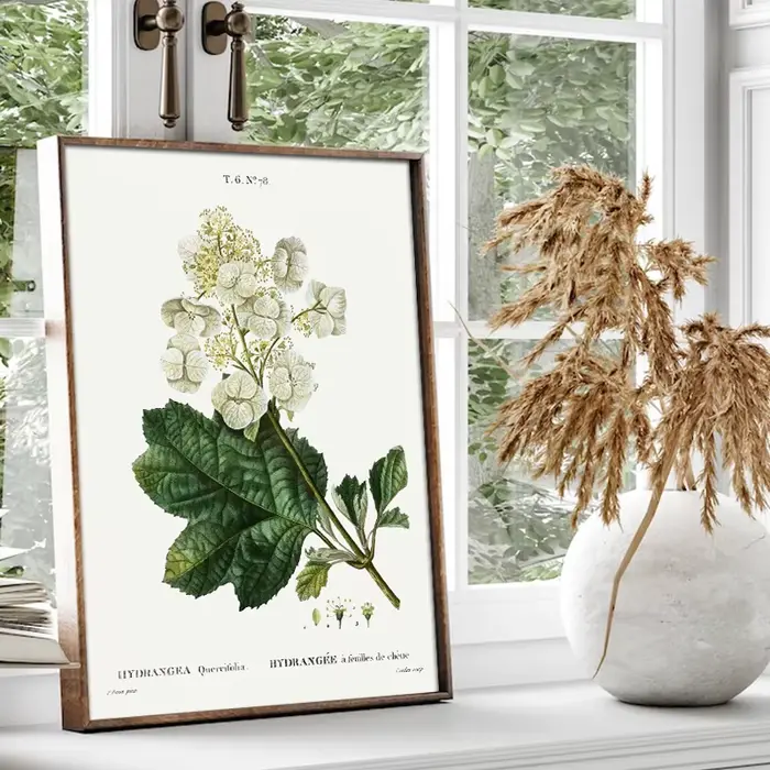 Vintage Botanical Studies Canvas Painting