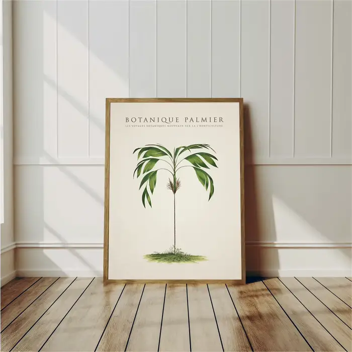 Affiches de palmiers tropicaux et d'arbre de bananier