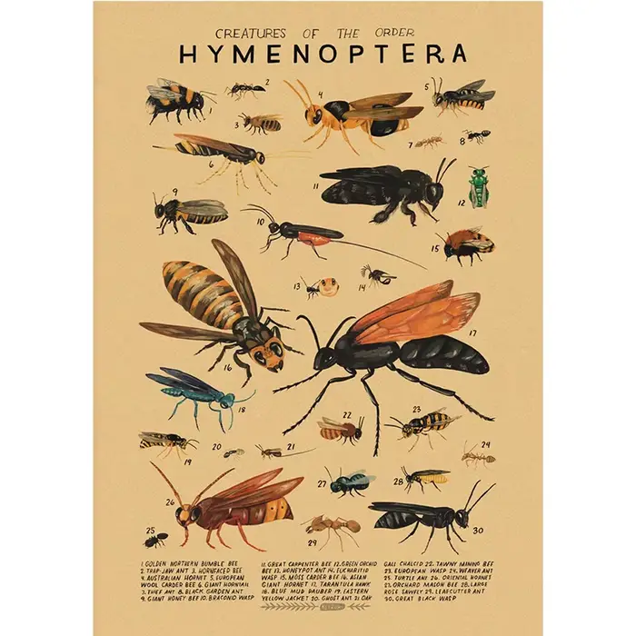 Affiches en papier kraft sur le thème des organismes marins