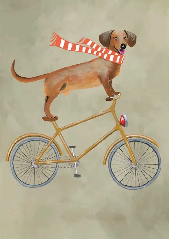 Affiches et impressions de chiens sur vélo, animaux drôles et mignons, peinture sur toile, art mural