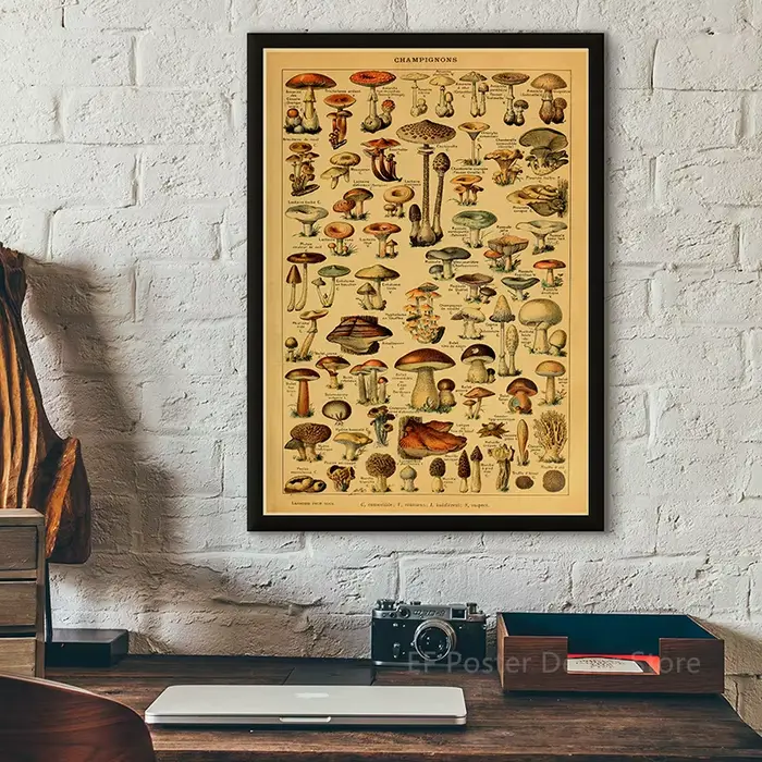 Affiche rétro de champignons imprimés d'art botanique