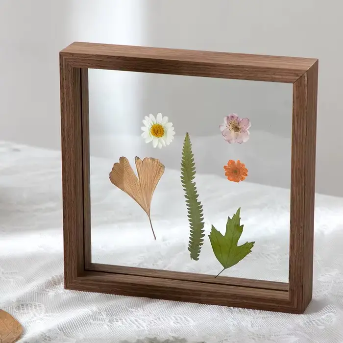 Cadre d'échantillon en bois avec cadre Photo en verre véritable
