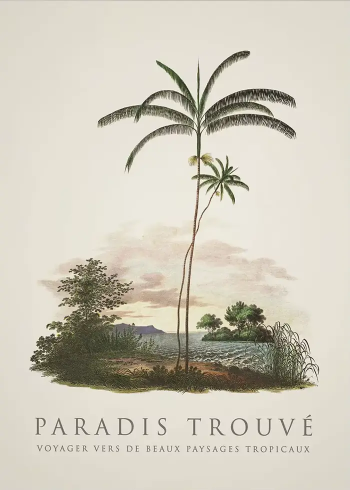 Affiches de palmiers tropicaux et d'arbre de bananier, imprimés botaniques Vintage, peinture sur toi