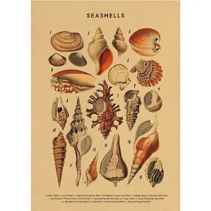 Affiches en papier kraft sur le thème des organismes marins