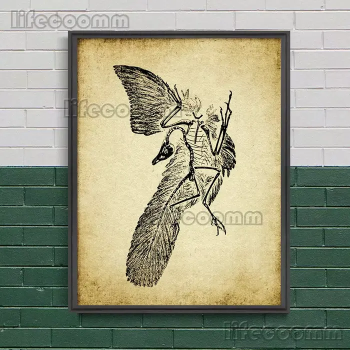 Peinture sur toile d'art mural vintage, moustique, papillon, araignée, équation de bourdon, libellul