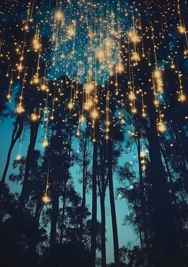 Affiches et imprimés botaniques de forêt magique de lune, toile imprimée, tableau d'art mural Vintag