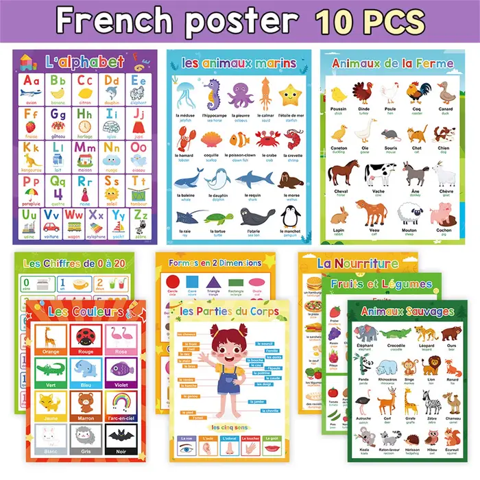 Affiche d'apprentissage du français avec animaux