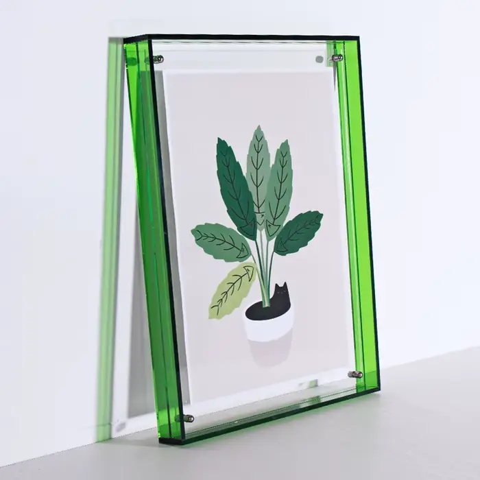 Cadre Photo en acrylique de couleurs, cadre Photo translucide pour suspension murale, décoration mur