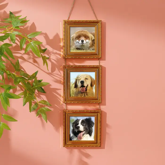 Trois cadres photo vintage en plastique, affiche montrant un animal de compagnie, cadeau souvenir ca