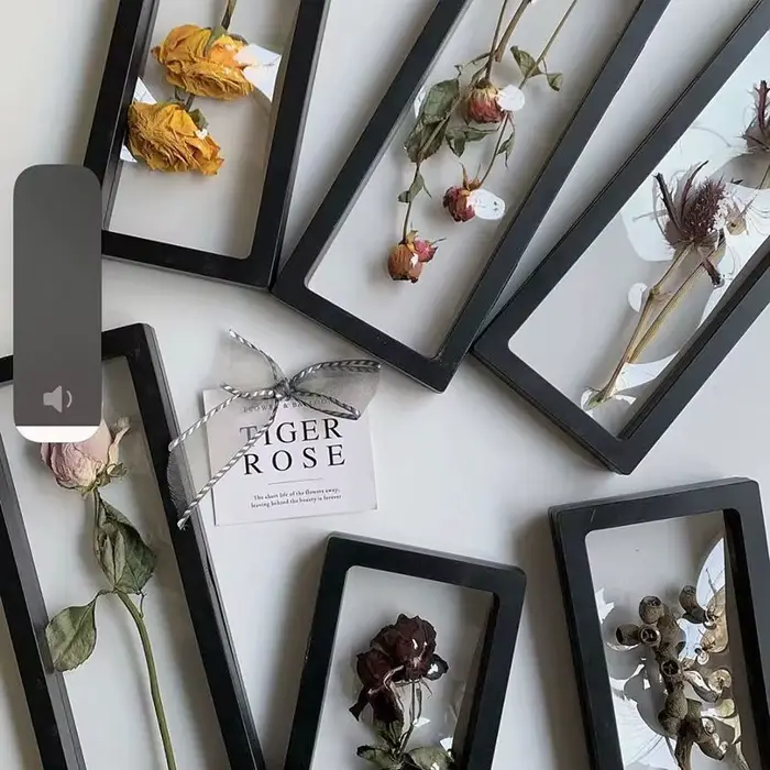 Porte-spécimen de fleurs séchées