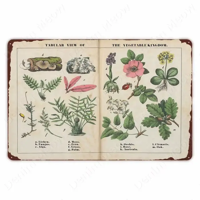 Plante végétale rétro affiche Fruits Vintage en métal
