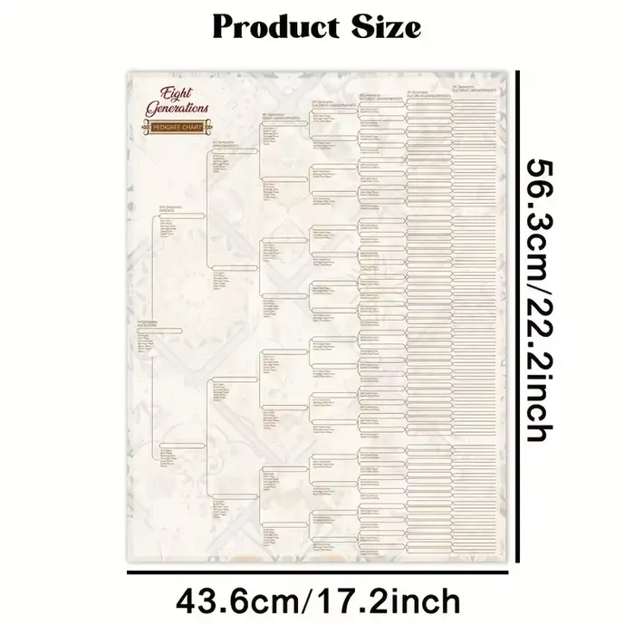 Grand arbre généalogique de 8 générations, 1 pièce, pour remplir le motif de marbre, affiche généalo