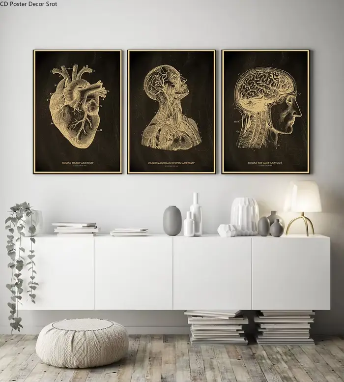 Affiche de tableau noir squelette anatomique