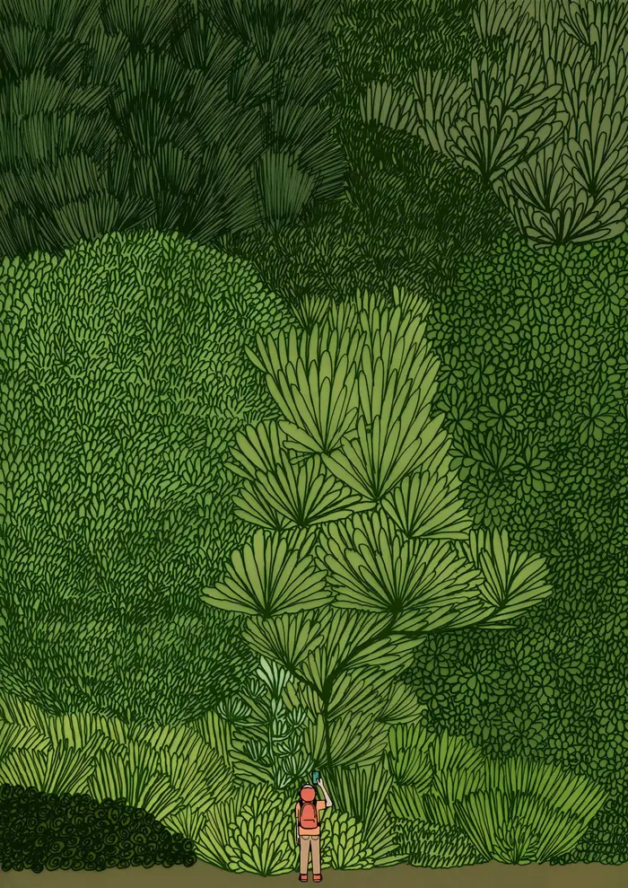 Affiche murale d'exploration de la forêt verte nordique, impression sur toile moderne, peinture d'ar