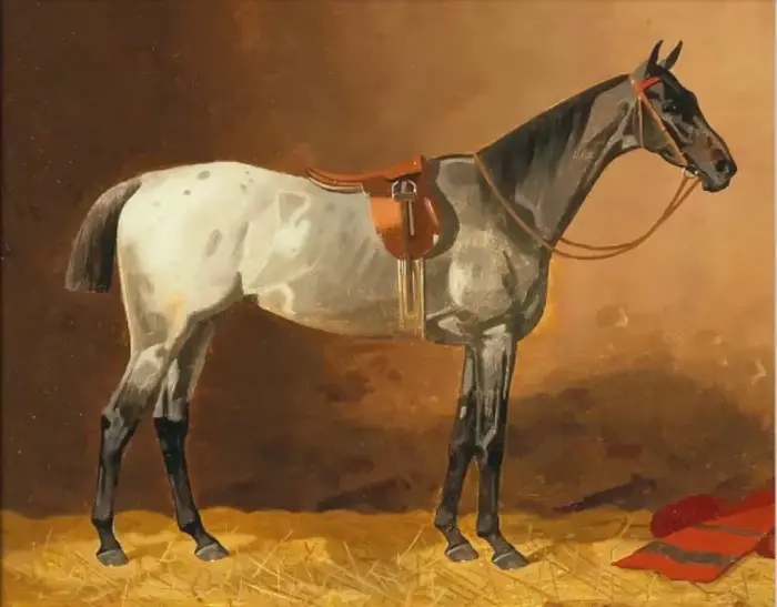 Affiche d'illustration d'art de cheval Vintage, peinture sur toile équestre, imprimés d'art mural, i