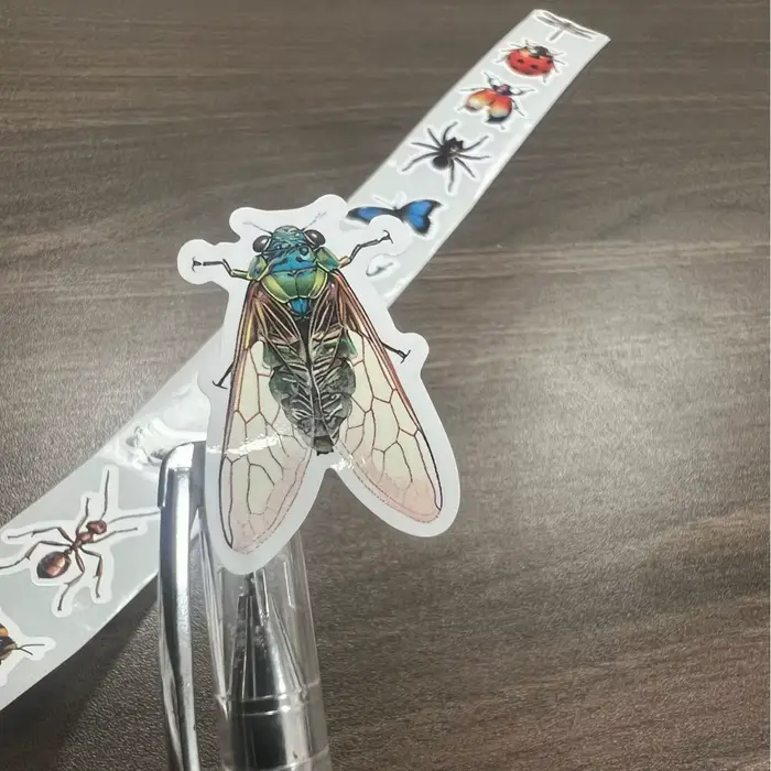 Ensemble d'autocollants insectes de dessin animé