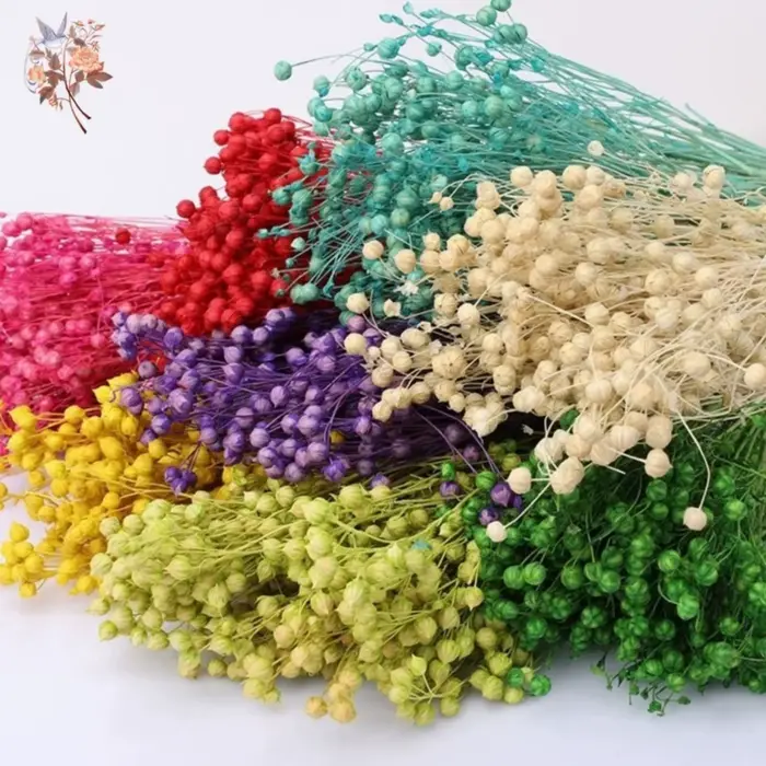 Fleurs séchées naturelles, Bouquets d'herbe en lin, vraies plantes conservées pour la décoration de la maison, matériel de bricolage, décoration de mariage, résine époxy